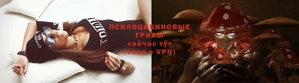 spice Абдулино