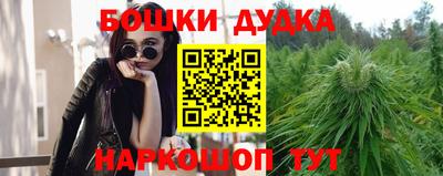 МДПВ Пушкино