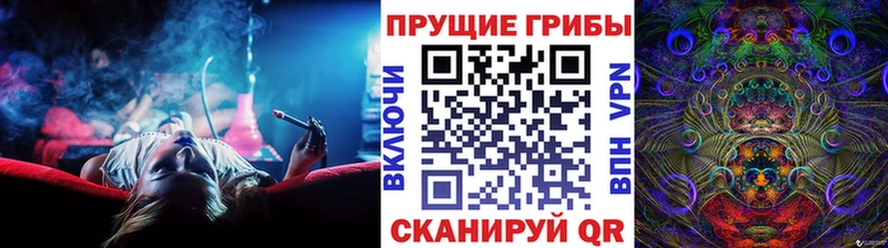 где можно купить   Сорочинск  Галлюциногенные грибы мицелий 