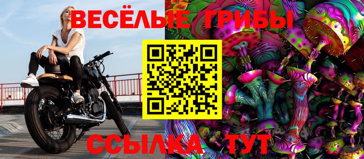 Псилоцибиновые грибы MAGIC MUSHROOMS  купить закладку  Сорочинск  Вход с VPN 